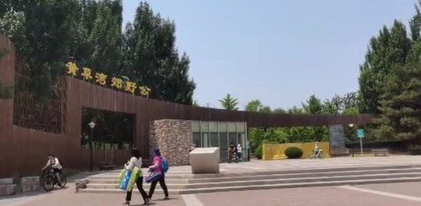 黄草湾郊野公园露营骑车烧烤