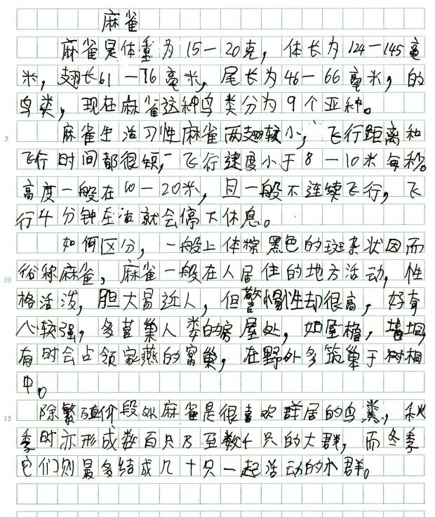 2024-11-30_11-34.jpg
