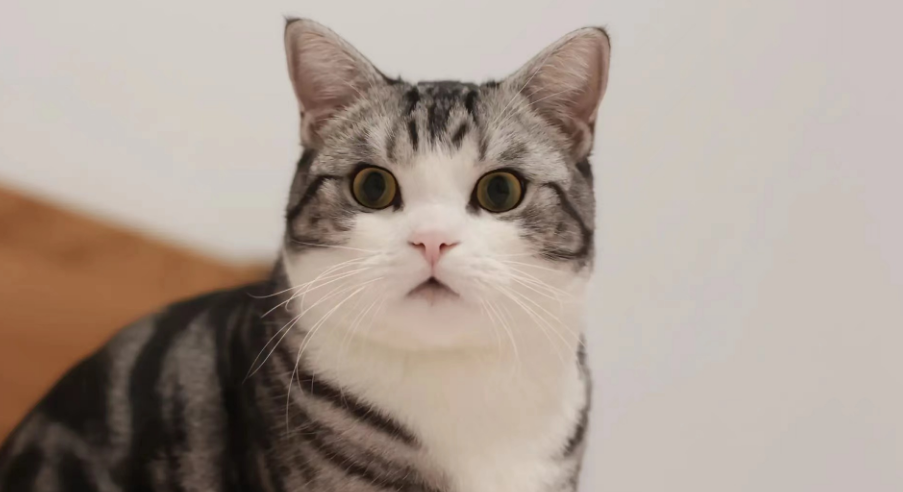 成年人练琴之大无语