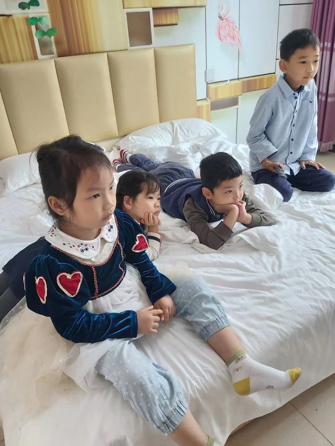 微信图片_20231119164813.jpg