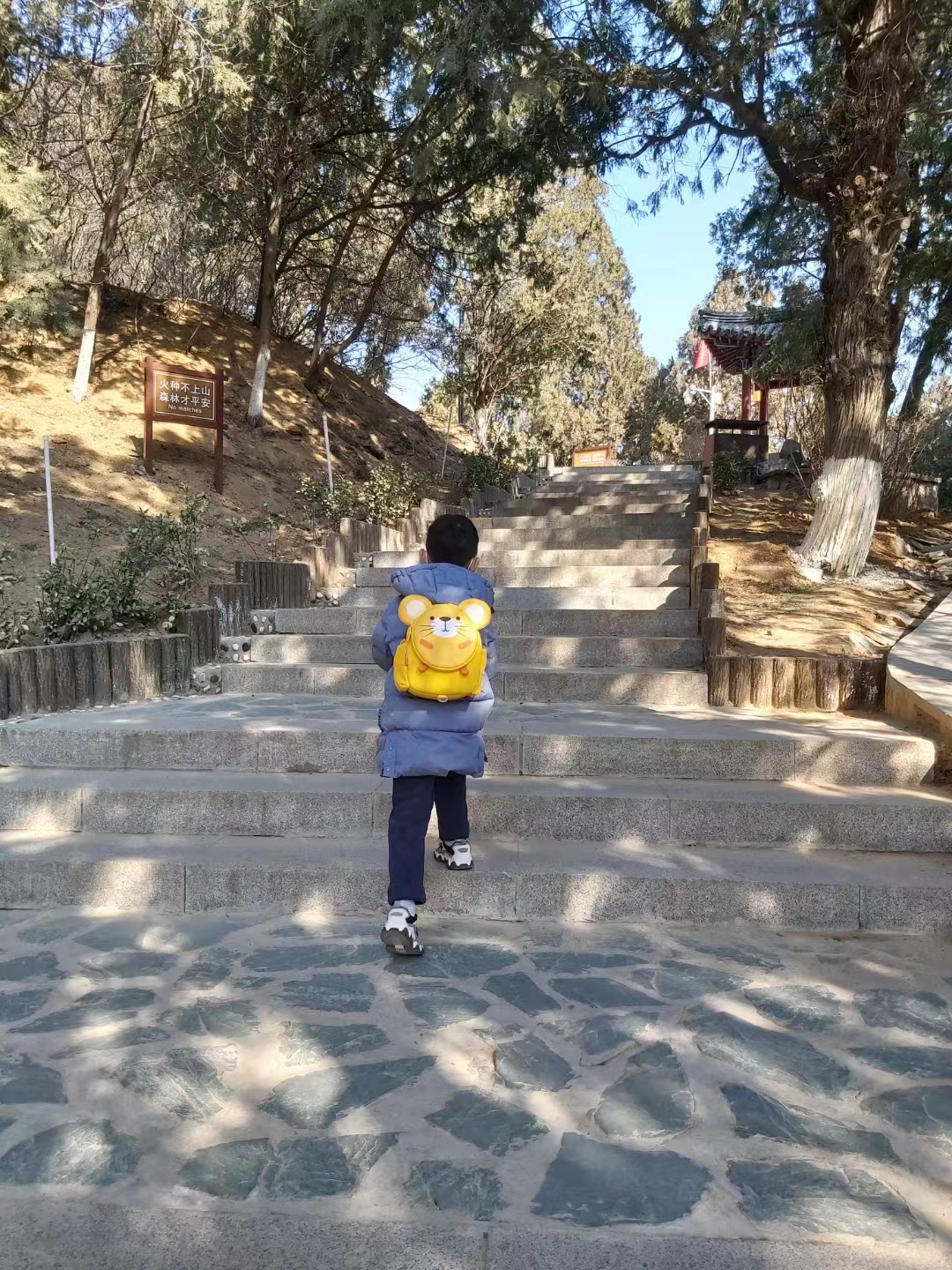 微信图片_20231119180146.jpg