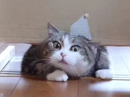 天哥一年级学加减法