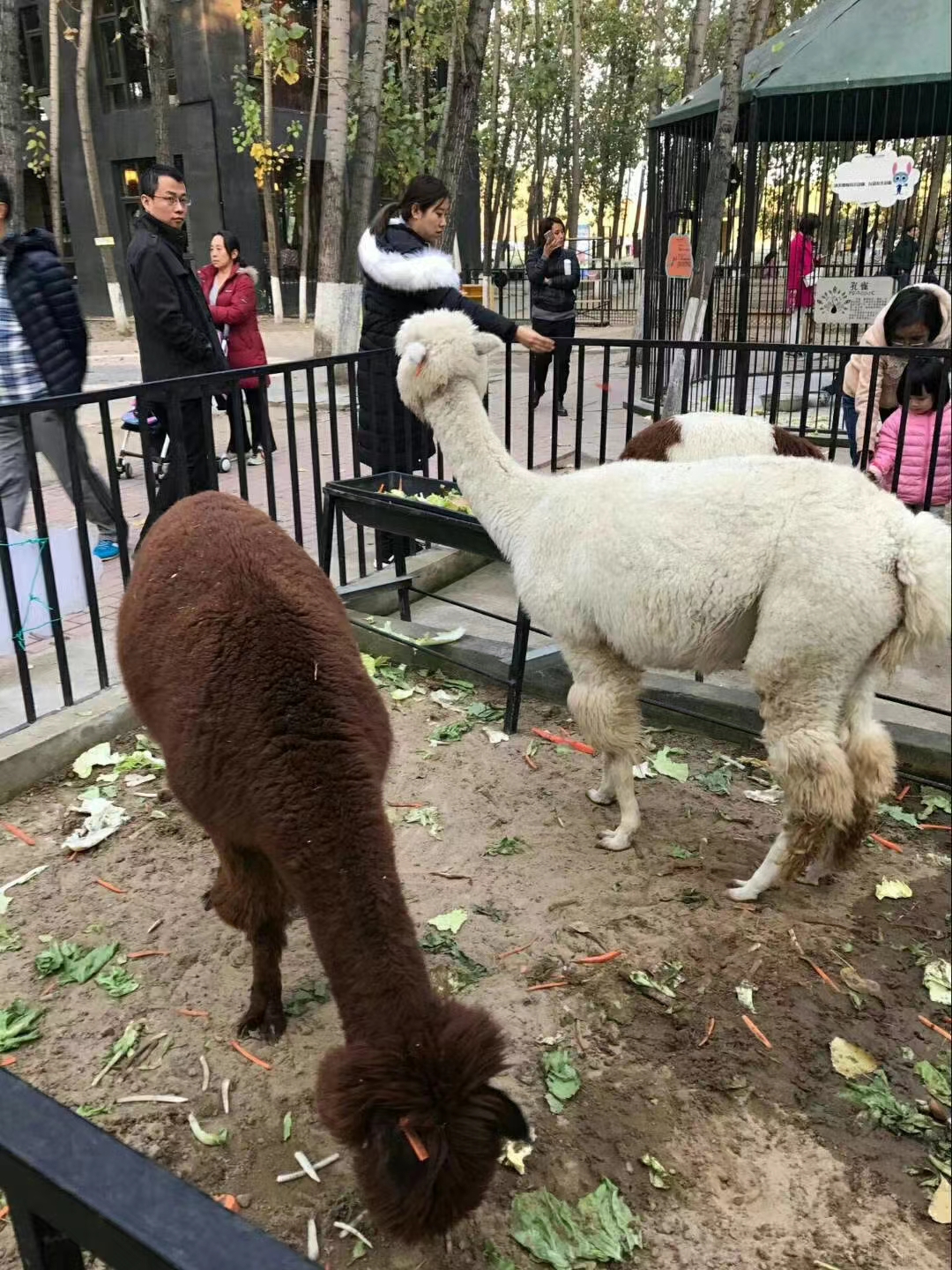 微信图片_20231119234016.jpg